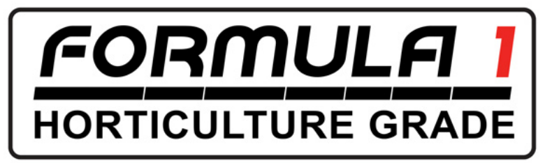 Formula 1